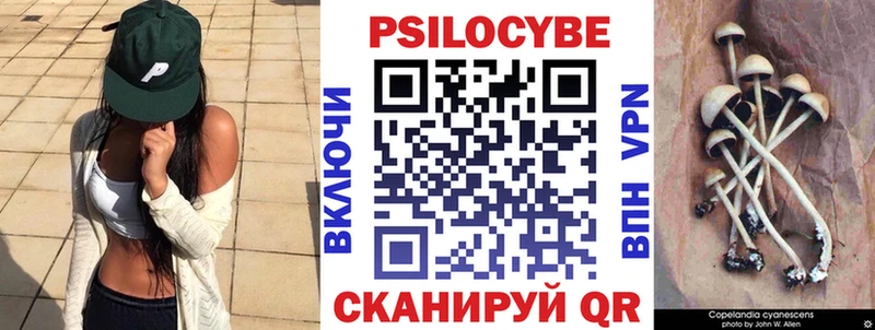 Псилоцибиновые грибы мицелий  Купить закладки  Чулым 